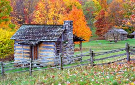 Bartering a Stay in a Rustic Cabin, Thinning Trees and Hand-Carved Furniture Image